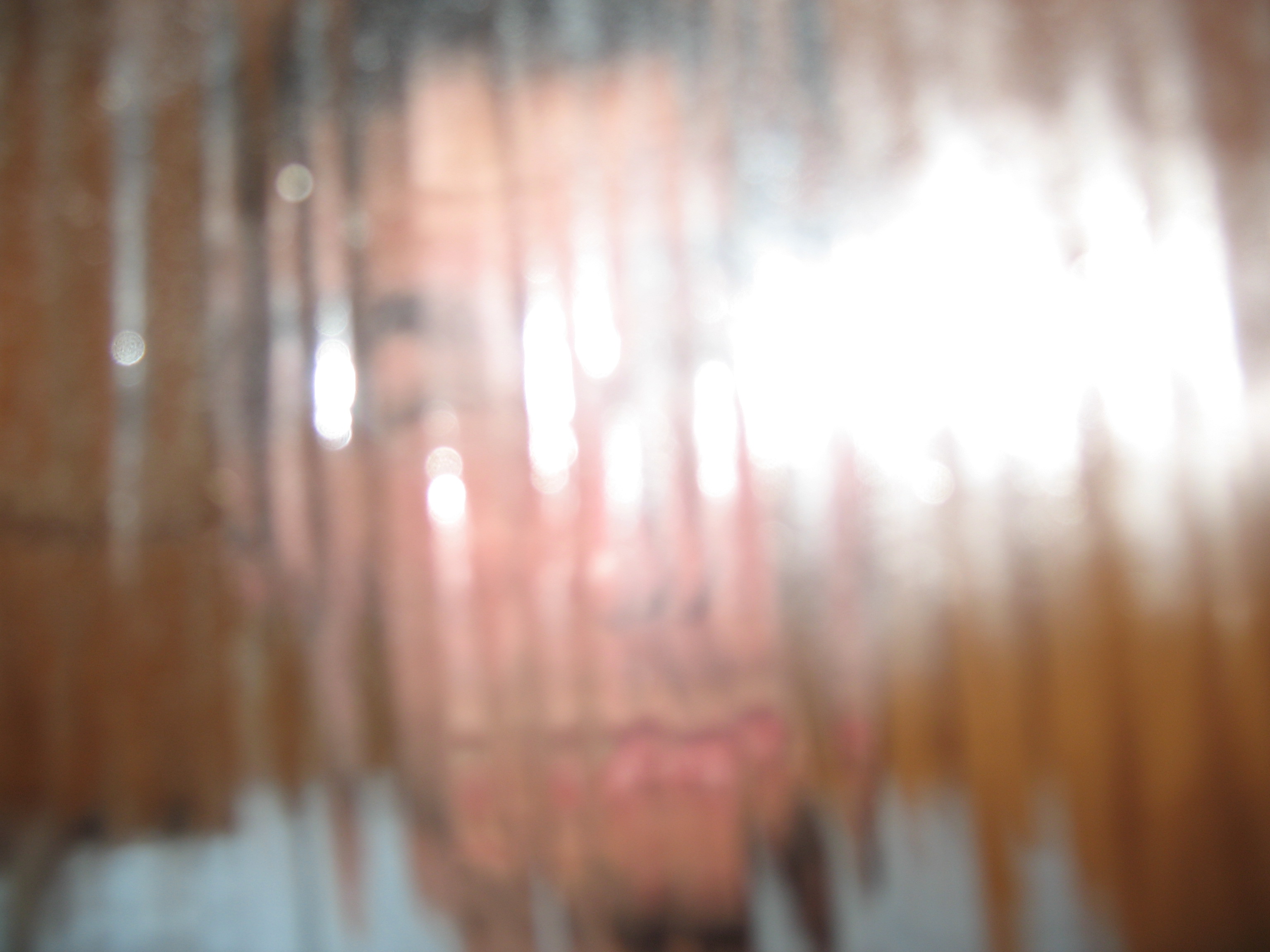 IMG 1650